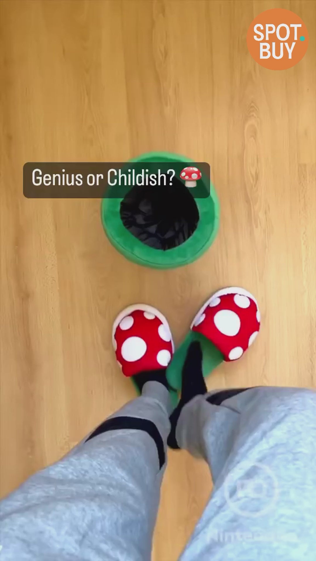 Piranha Plant Fuzzy Slippers