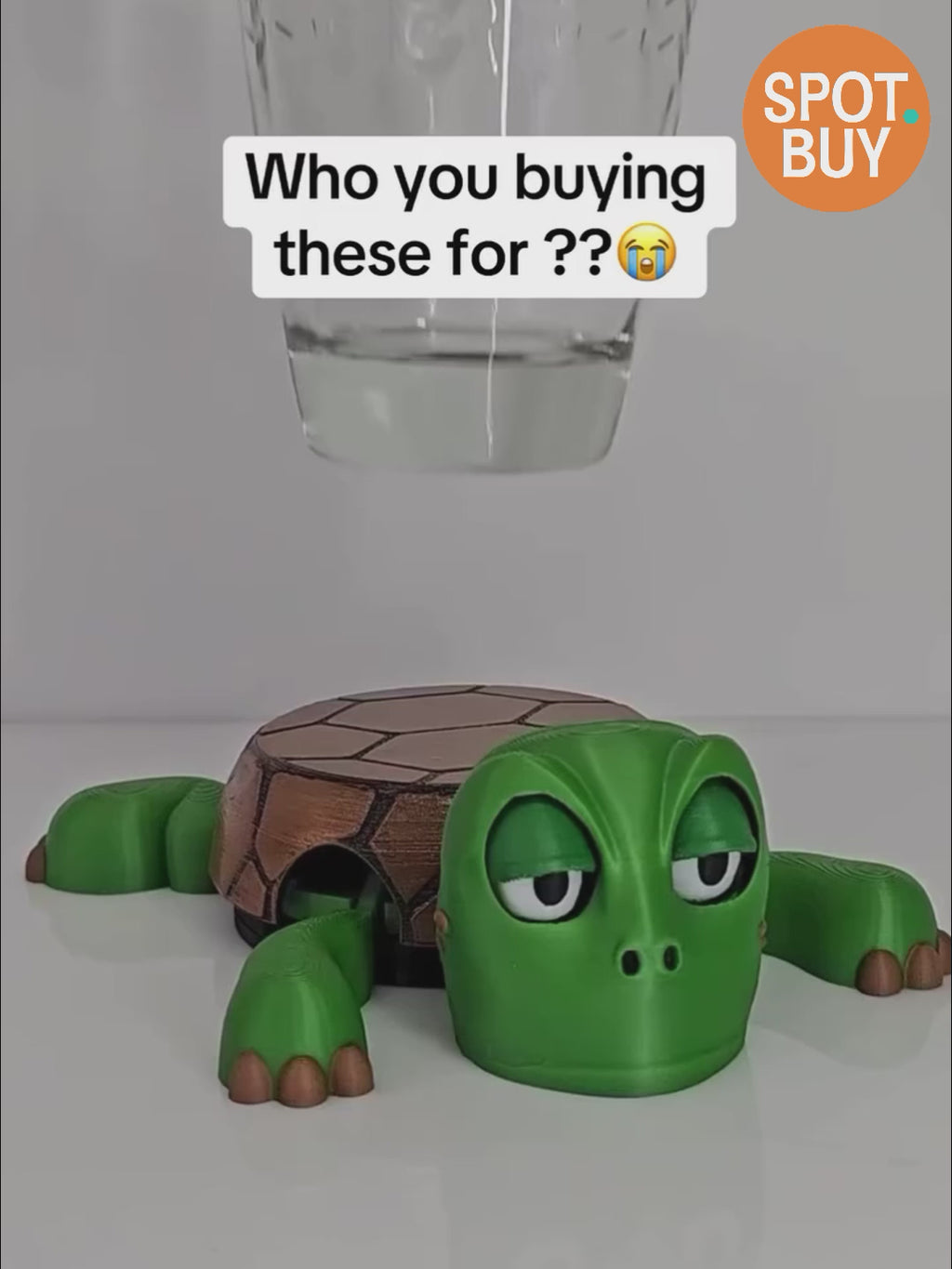 Quirky Interactive Turtle Shell Coaster